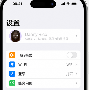 鹤峰appleID维修服务iPhone设置中Apple ID显示为灰色无法使用 