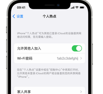 鹤峰apple服务站点分享iPhone上个人热点丢失了怎么办 