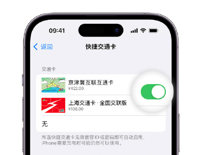 鹤峰apple维修点分享iPhone上更换Apple Pay快捷交通卡手绘卡面 