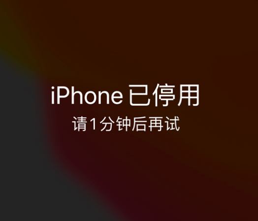 鹤峰苹果手机维修分享:iPhone 显示“不可用”或“已停用”怎么办？还能保留数据吗？ 