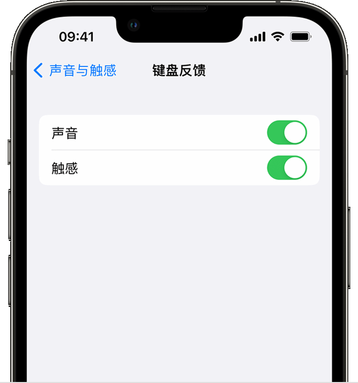 鹤峰苹果14维修店分享如何在 iPhone 14 机型中使用触感键盘 