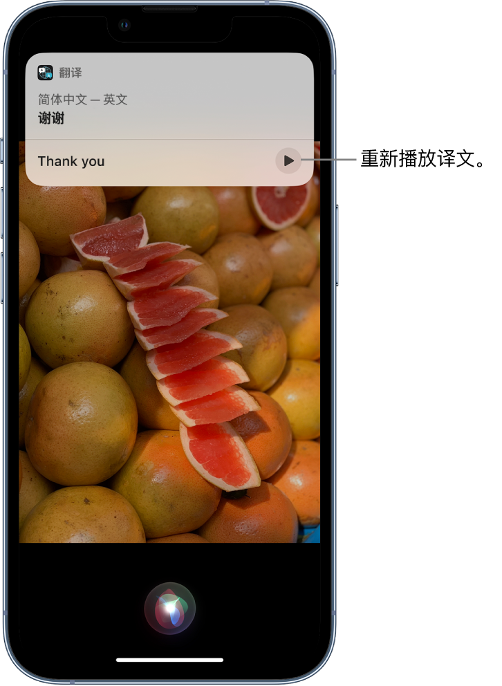 鹤峰苹果14维修分享 iPhone 14 机型中使用 Siri：了解 Siri 能帮你做什么 