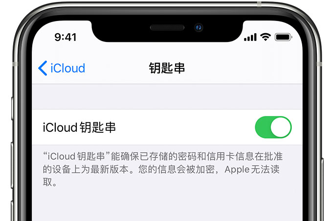 鹤峰苹果手机维修分享在 iPhone 上开启 iCloud 钥匙串之后会储存哪些信息 