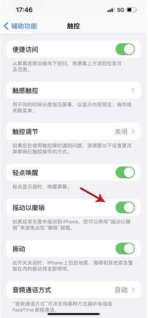 鹤峰苹果手机维修分享iPhone手机如何设置摇一摇删除文字 