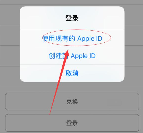 鹤峰苹果手机维修分享两台iPhone设备可以同时登录一个Apple ID吗 