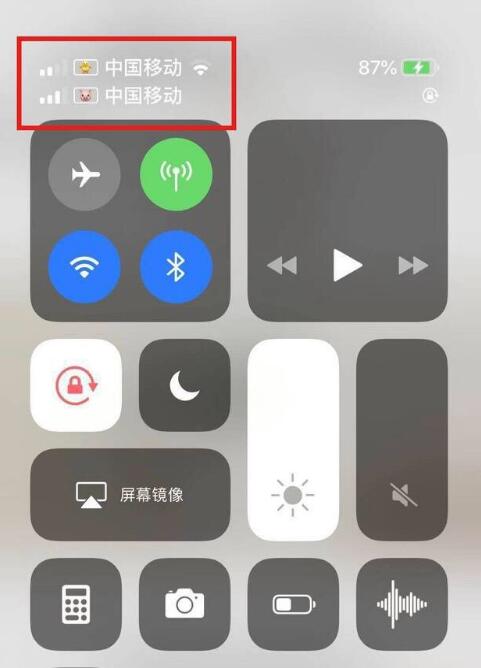 鹤峰苹果手机维修分享为 iPhone 12 双卡设置标签 