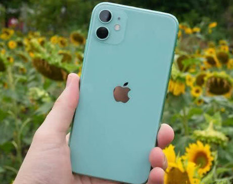 鹤峰苹果维修点分享iPhone 11锁屏密码认知与使用科普 